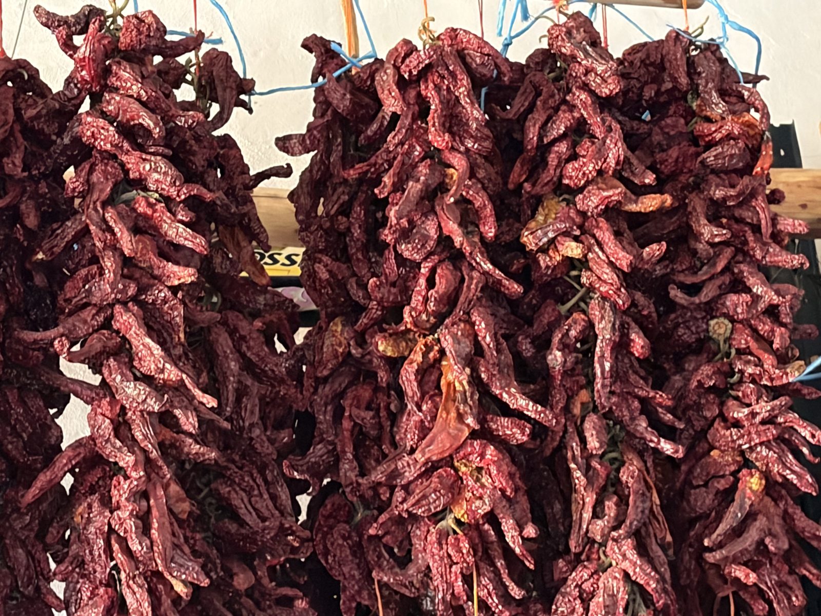 Detalle macro de ristras de piquillo secándose — granate intenso, ataduras visibles